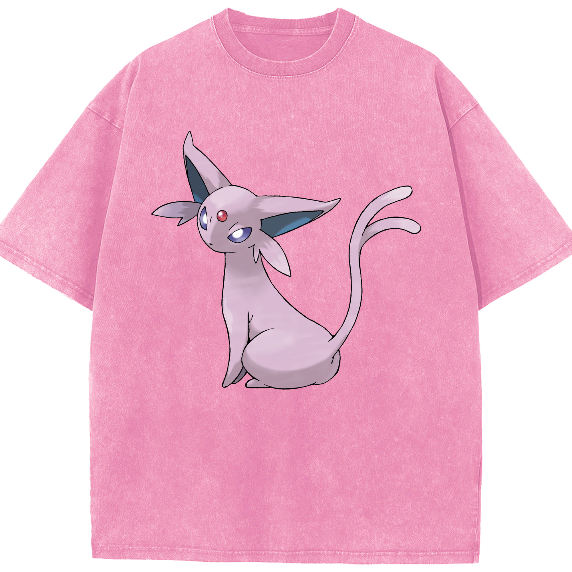 （画像用） ポケットモンスター Pokémon 綿100% ヴィンテージ風 半袖Tシャツ（フロントプリント）